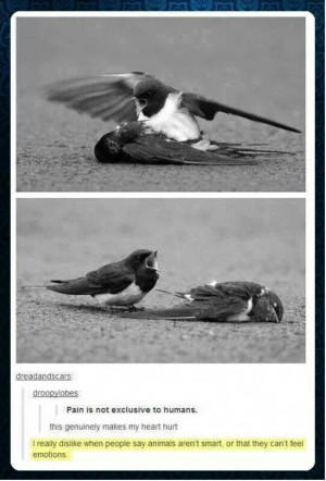 Pinned by Skylar Perry