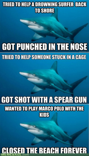 Awww, sharks are so misunderstood!