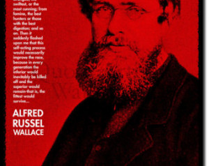 Alfred Russel Wallace Art Print Wit h Quote - 12x8 Inch Photo Poster ...