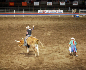 Bull Riding Quotes To watch the bull riding!