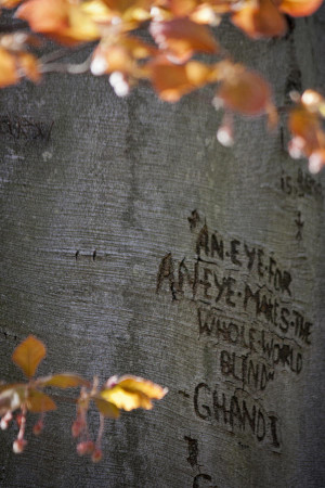 Carved Quote Photograph