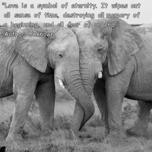 Displaying (18) Gallery Images For Eternal Love Quotes Tumblr...