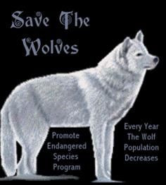 Save the wolves and promote the endangered species programs! More