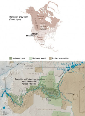 and former ranges of the gray wolf. Inset of the Grand Canyon National ...