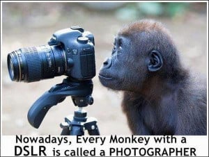 Funny Photography Joke Picture Which is Very Humorous & This Funny ...