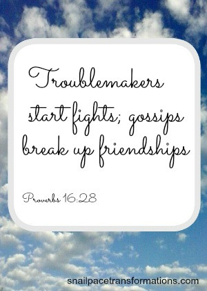 Proverbs 16:28 Troublemakers start fights; gossips break up ...