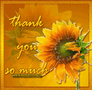 Thank You Sunflower Gold Comments
