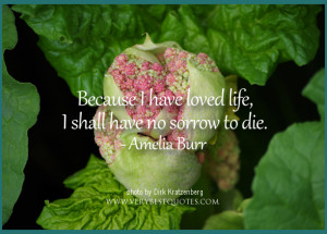 love-life-quotes-no-sorrow-to-die-quotes.jpg