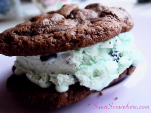 Double Chocolate Chip Cookies with Mint chip ice cream sandwich