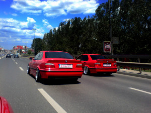 Join Date: Jul 2009 Posts: 91 User Status: Offline