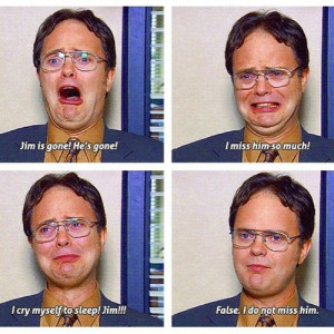 The Office: Dwight Schrute