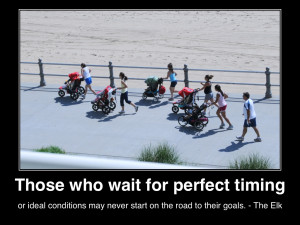 those-who-wait-for-perfect-timing-or-ideal-conditions-may-never-start ...
