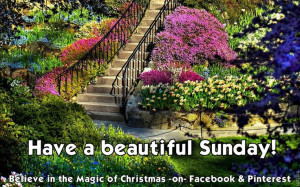 25aug14 - Have a Beautiful Sunday quote