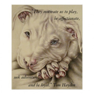 Dogs Motivate Us: Pit Bull Poster