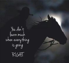quotes simple life horse quotes horse s barns taack hors quotes quotes ...