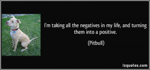 More Pitbull Quotes