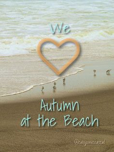 We LOVE Autumn at the Beach! More
