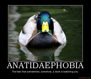 ... -albums-images-interwebs-some-my-stuff-too-picture6664-scary-duck