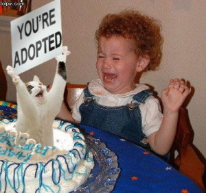 Funny birthday images pics photos baby crying and Cat in the cake