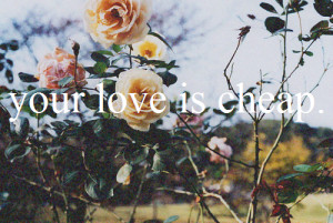 Vintage Tumblr Flowers Quotes