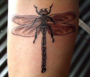 Dragonfly tattoo done by Donald Purvis at Asgard