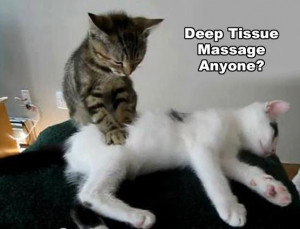 massage quotes funny massage jokes funny massage quotes and sayings ...