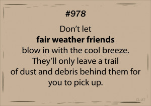 ... pressure cleaning roof cleaning pest control gutters windows free