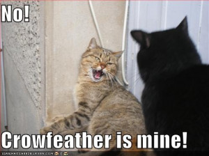 ve always wondered, does Crowfeather really love Nightcloud?