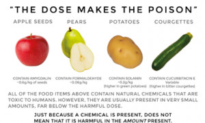 TOPIC: Chemicals in your foods!