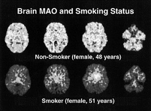 No one told us that once saturated, that continued smoking would cause ...