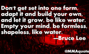 ... one form adapt it and build your own and let it grow be like water