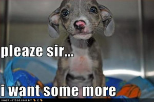 Posted by Leeanna at 3/13/2013 12:19:00 AM