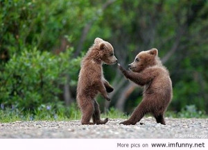 today i am not ready for fight but the other one said today is the ...