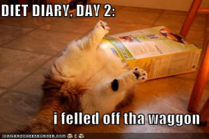 funny-pictures-cat-food-box-diet-diary