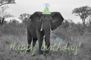 African Happy Birthday