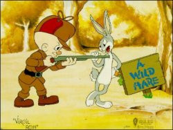 ELMER FUDD 2 width=250 height=188 - 17 Pictures of Elmer with Bugs ...