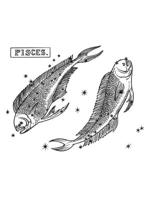 Zodiac Pisces Man Feb March