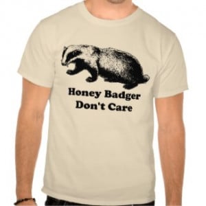 Honey Badger Don’t Care T-Shirt by flippinsweetgear