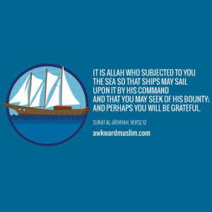 More islamic quotes HERE