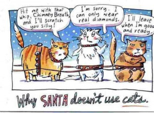 Funny Christmas Memes (comics)