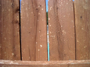 Repair height, hail damage, strip & brighten, restain lighter color