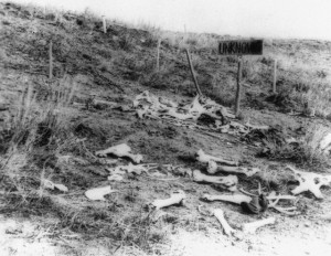 Bones of the Dead from Custer's Last Stand
