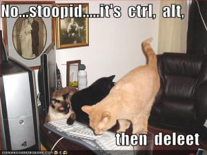 funny-pictures-cats-try-to-restart-computer