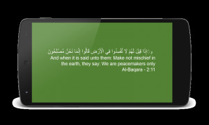 Holy Quran Quotes - screenshot