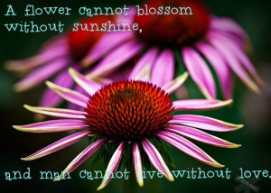 Love #Quote #Man #Flower #Pretty