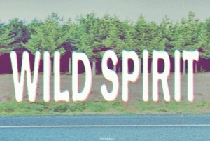 ... hipster adventure road trip free spirit wild spirit animated GIF
