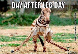 Day after leg day