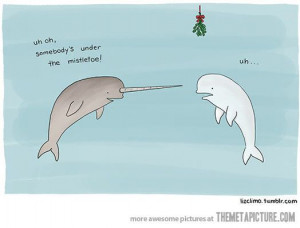 funny-narwhal-dolphin-whale-clipart