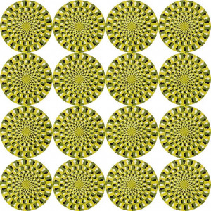 Black Spots Spinning Wheels