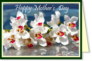 Mothers Day Picture Send Free Holidays Ecards Mother